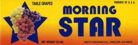 Morning Star